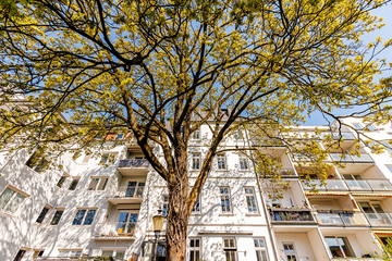 Alte Rabenstraße 8